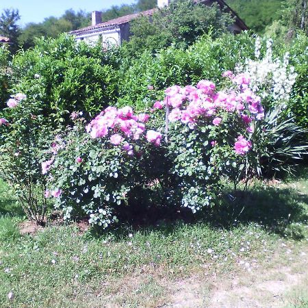 L'Ancien Patronage Affittacamere Caumont-sur-Garonne Esterno foto