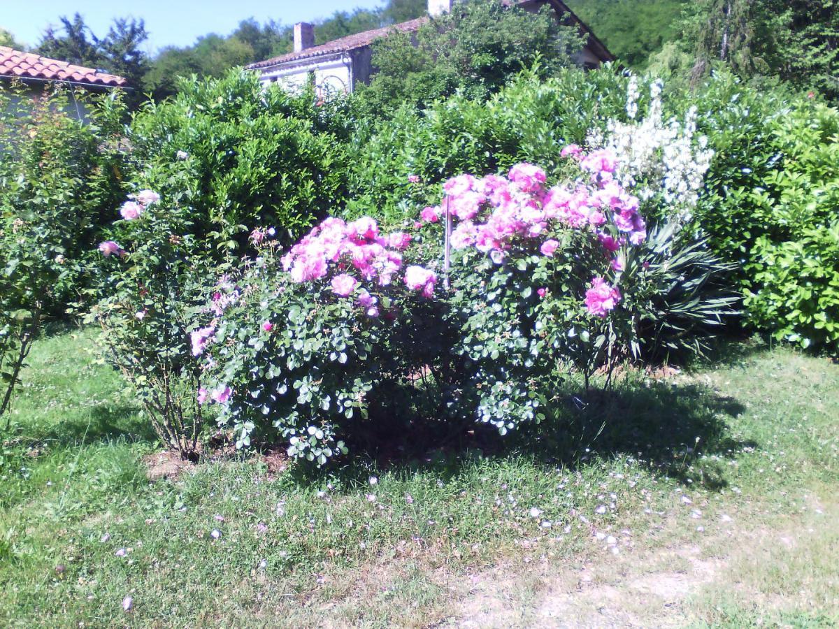 L'Ancien Patronage Affittacamere Caumont-sur-Garonne Esterno foto