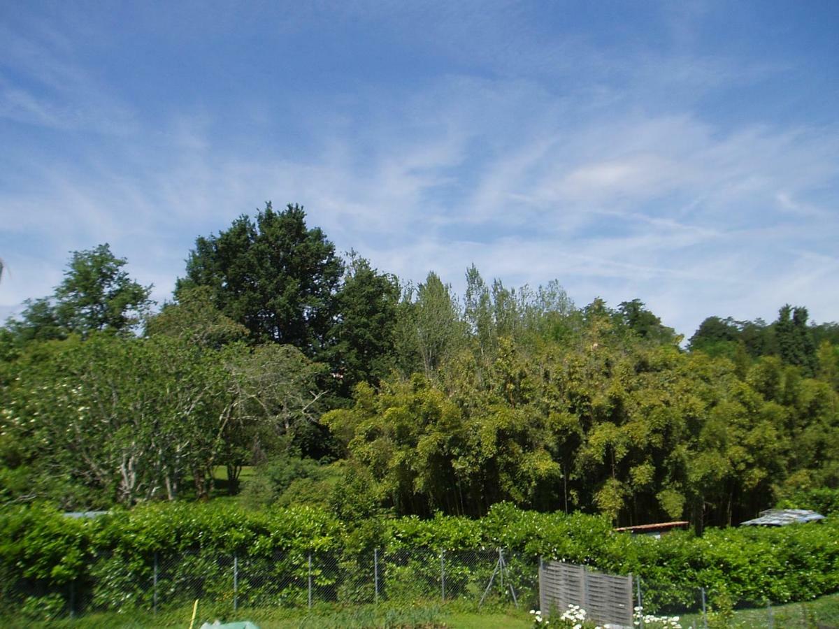 L'Ancien Patronage Affittacamere Caumont-sur-Garonne Esterno foto