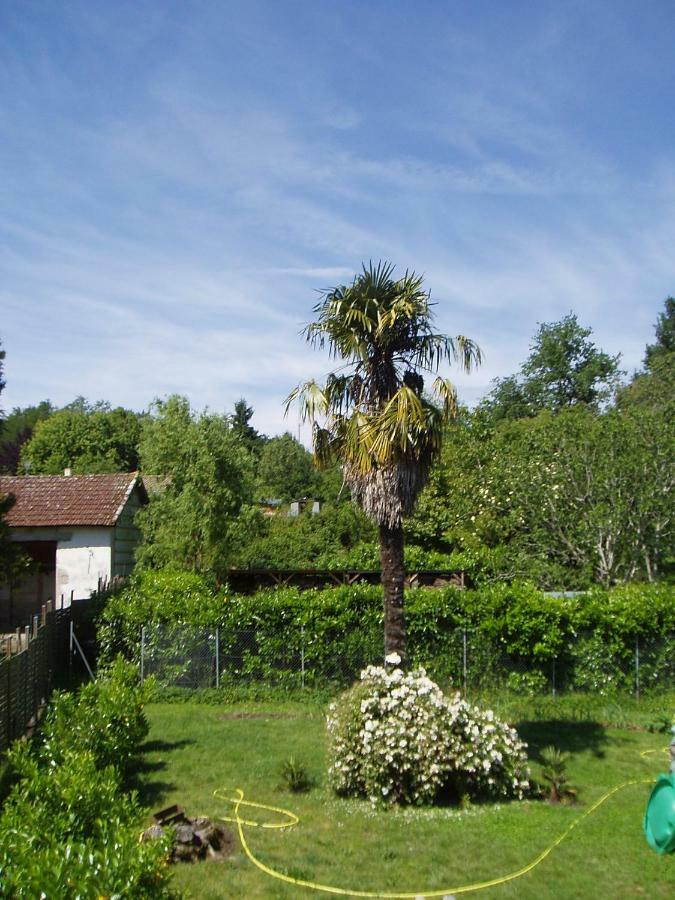 L'Ancien Patronage Affittacamere Caumont-sur-Garonne Esterno foto